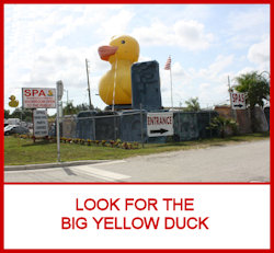 Look For The Yellow Duck