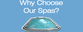 Swimming Spa Manufacturers